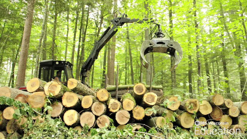 Forestry Climate Wisconsin