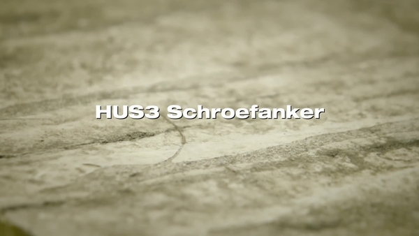 HUS3_schroefanker. Prestaties in oud beton.