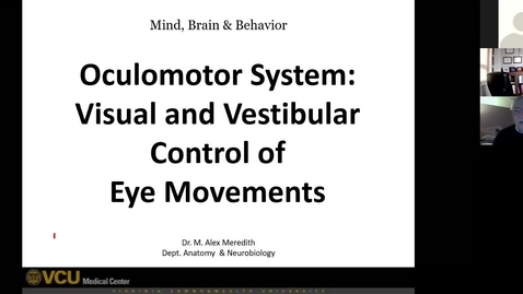 Thumbnail for 201027 - M2 - 10am - MBB - Auditory and Vestibular System Wet Lab - Meredith