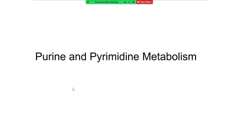 Thumbnail for entry 220810 - M1 - 10am - MBHD - Pyrimidine and Purine Metabolism TBL - Wattenberg