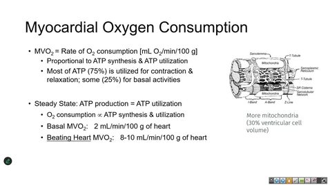 Thumbnail for 250804 - M2 - CARD - 10am - MVO2/Fick Principle + Cardiac and Vascular Function - Rao + Anderson