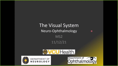 Thumbnail for entry 211112 - M2 - 10am - NRS - Visual System &amp; Visual Disorders II -  Haines