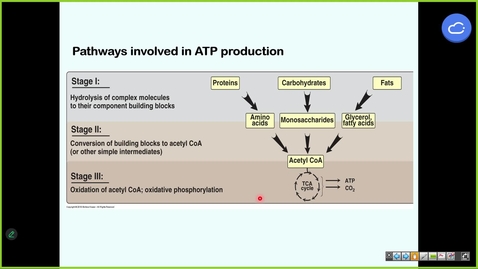 Thumbnail for 250903 - m1 - 9am - mbhd - TCA Cycle