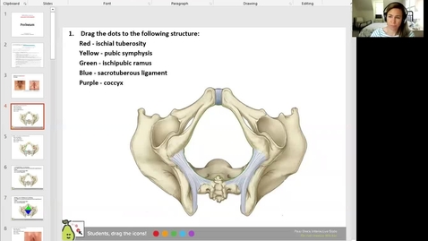 Thumbnail for entry 210427 - M1 - 9am - REPR - Anatomy Lab: Urogenital and Anal Triangles - Harrell