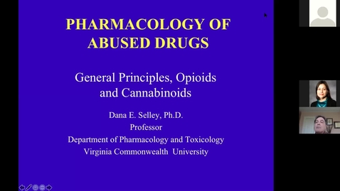 Thumbnail for 201210 - M2 - 10am - MBB - General Principles, Opioids, and Cannabinoids - Selley