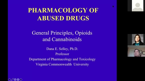 Thumbnail for entry 201210 - M2 - 10am - MBB - General Principles, Opioids, and Cannabinoids - Selley