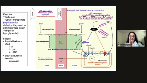 Thumbnail for 251001 - 10AM - M1 - PHYS - Physiology Review 2