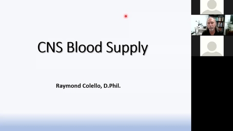 Thumbnail for 201022 - M2 - 8am - MBB - Vascular Supply of the CNS - Colello