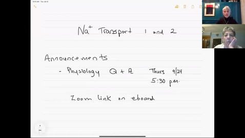 Thumbnail for 200924-M2-8am-RENL-Sodium Transport 1 and 2-Costanzo