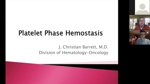 Thumbnail for entry 210107 - M1 - 10am - MARR - Megakaryopoiesis and Platelet Hemostasis - Barrett