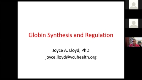 Thumbnail for entry 210104 - M1 - 1030am - MARR - Globin Regulation and Synthesis - Lloyd