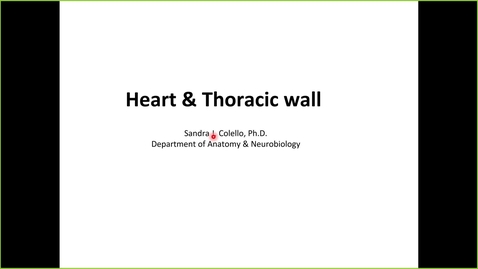 Thumbnail for 250225 - 8AM - M1 - GI - Anatomy Lecture: Thoracic Wall and Heart - Colello
