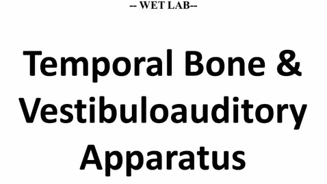 Thumbnail for Ear Intro_Dissect Instru FINAL