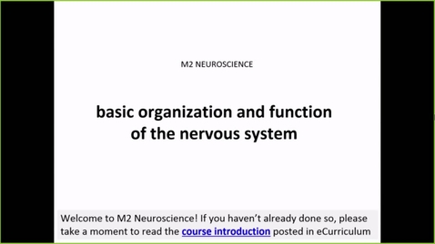 Thumbnail for entry 211104 - M2 - 8am - NRS - Basic Organization &amp; Function of the Nervous System - McGinn Greer