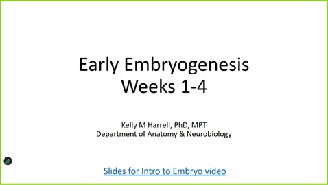 Thumbnail for 251202 - M1 - FOD - Embryology