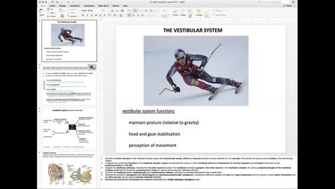 Thumbnail for entry 201026 - M2 - 9am - MBB - Vestibular System - McGinn Greer