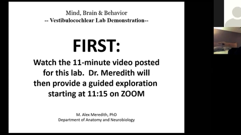 Thumbnail for entry 201026 - M2 - 10am - MBB - Auditory and Vestibular System Wet Lab - Meredith