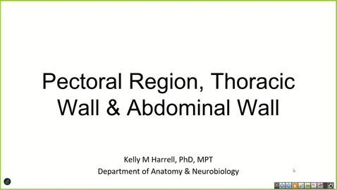 Thumbnail for 250128 - M1 - MOVE - 8am - Anatomy: Pectoral Region, Anterior Thoracic Wall and Abdominal Wall - Harrell