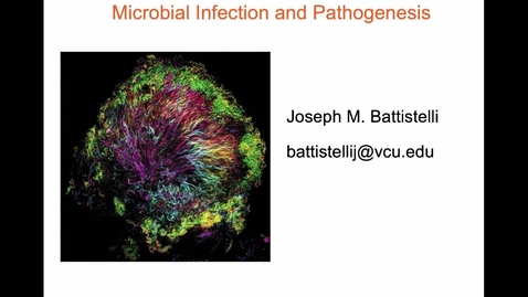 Thumbnail for entry InfectionAndPathogenesis