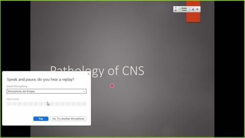 Thumbnail for entry  211209 - M2 - 8am - NRS - Pathology of CNS Tumors - Richard