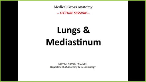 Thumbnail for 250226 - M1 - GI - 8am -  Anatomy Lecture: Lungs, Mediastinum &amp; Abdominal Cavity - Harrell