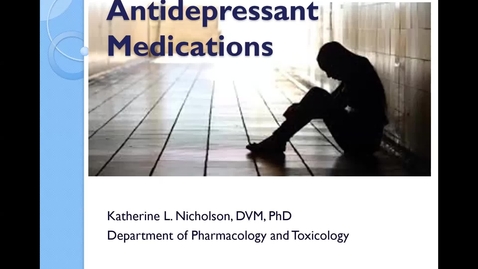 Thumbnail for entry PHTX 400 S2023 Nicholson Antidepressants