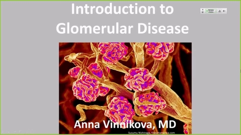 Thumbnail for entry 211007 - M2 - 1030am - RENL - Introduction to Glomerular Disease - Vinnikova