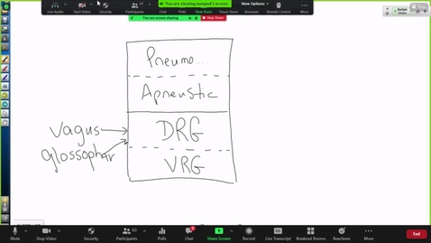 Thumbnail for entry 210921 - M2 - 10am - PULM - Control of Breathing - Costanzo