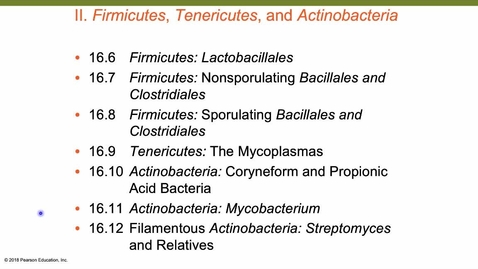 Thumbnail for BacterialDiversityPart2 - with Practice Questions