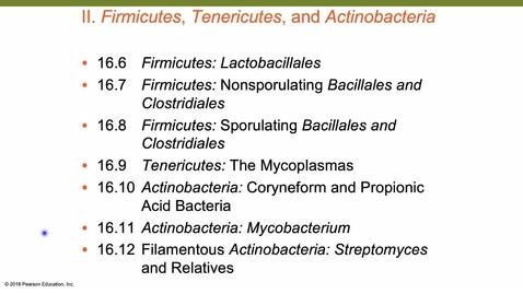 Thumbnail for entry BacterialDiversityPart2 - with Practice Questions