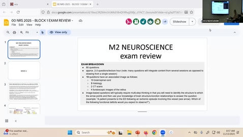 Thumbnail for 251113 - M2 - NRS - 9am - Exam Review - McGinn