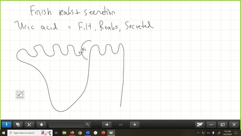 Thumbnail for 241003 - M2 - 8AM - RENL - Phys: Sodium Transport 1 &amp; 2