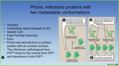 Thumbnail for 250814 - m1 - MBHD - Protein Structure and Function PT2 