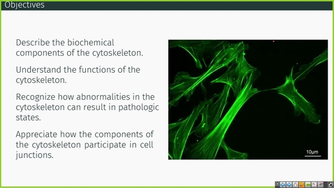 Thumbnail for 240812 - M1 - MBHD - 11am - Cell Biology 1 - Anderson