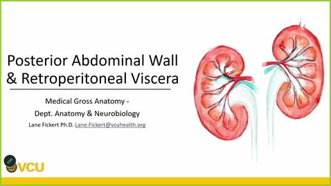 Thumbnail for 260325 - M1 - 8AM - GI - tomy Lecture: Retroperitoneal Viscera &amp; Post Abdominal Wall
