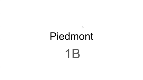 Thumbnail for POPH presentations Piedmont