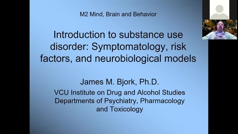 Thumbnail for 201210 - M2 - 8am - MBB - Introduction to Substance Use Disorder Symptomatology, Risk Factors, and Biological Models - Bjork