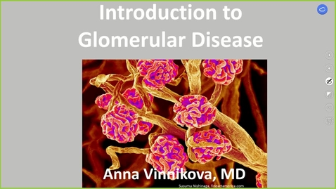 Thumbnail for 241003 - M2 - 11AM - RENL - Introduction to Glomerular Disease