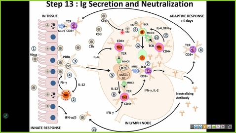Thumbnail for 251105 - M1 - 9AM - I &amp; I - Immunology Review