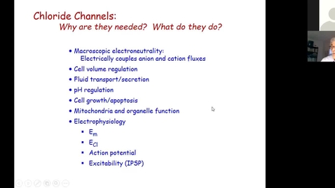 Thumbnail for 200924 - M1 - 8am - PHYS - Paper Case Wrap - Baumgarten &amp; Schechter