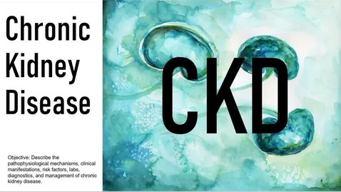 Thumbnail for CKD Interactive Presentation