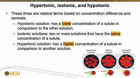 Thumbnail for 03. Hypertonic, isotonic, and hypotonic