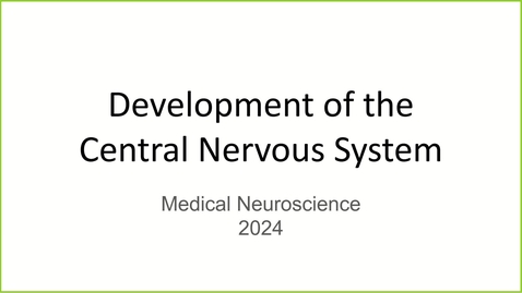 Thumbnail for 241031 - M2 - 8AM - NEURO - CNS Development