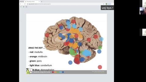 Thumbnail for entry 201020 - M2 - 9am - MBB - Basic Functionality of the Nervous System - McGinn Greer