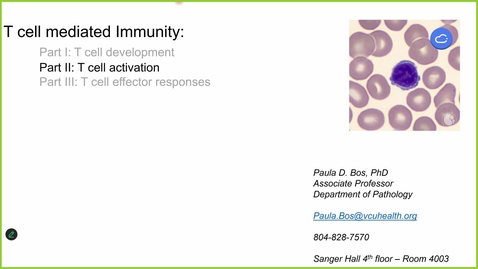 Thumbnail for 251030 - M1 - 9AM - I &amp; I -  T cells: Activation 