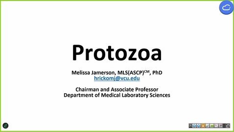 Thumbnail for 241107  - M1 - I&amp;I - 10am - Protozoa - Jamerson