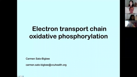 Thumbnail for entry 200812-M1-8am-MBHD-Oxidative Phosphorylation Problem Solving-SatoBigbee