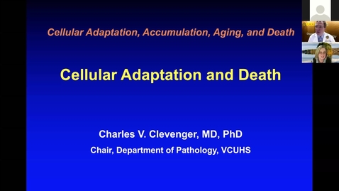 Thumbnail for entry 201204 - M1 - 8am - FOD - Cell Injury/Cell Death/Adaptation - Clevenger