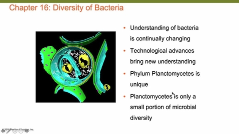 Thumbnail for entry BacterialDiversityProteobacteria