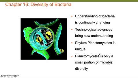 Thumbnail for BacterialDiversityProteobacteria